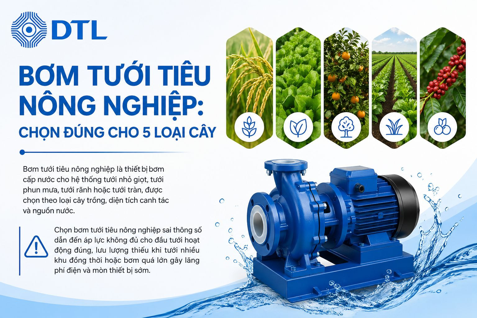 Bơm Tưới Tiêu Nông Nghiệp Chọn Đúng Cho 5 Loại Cây