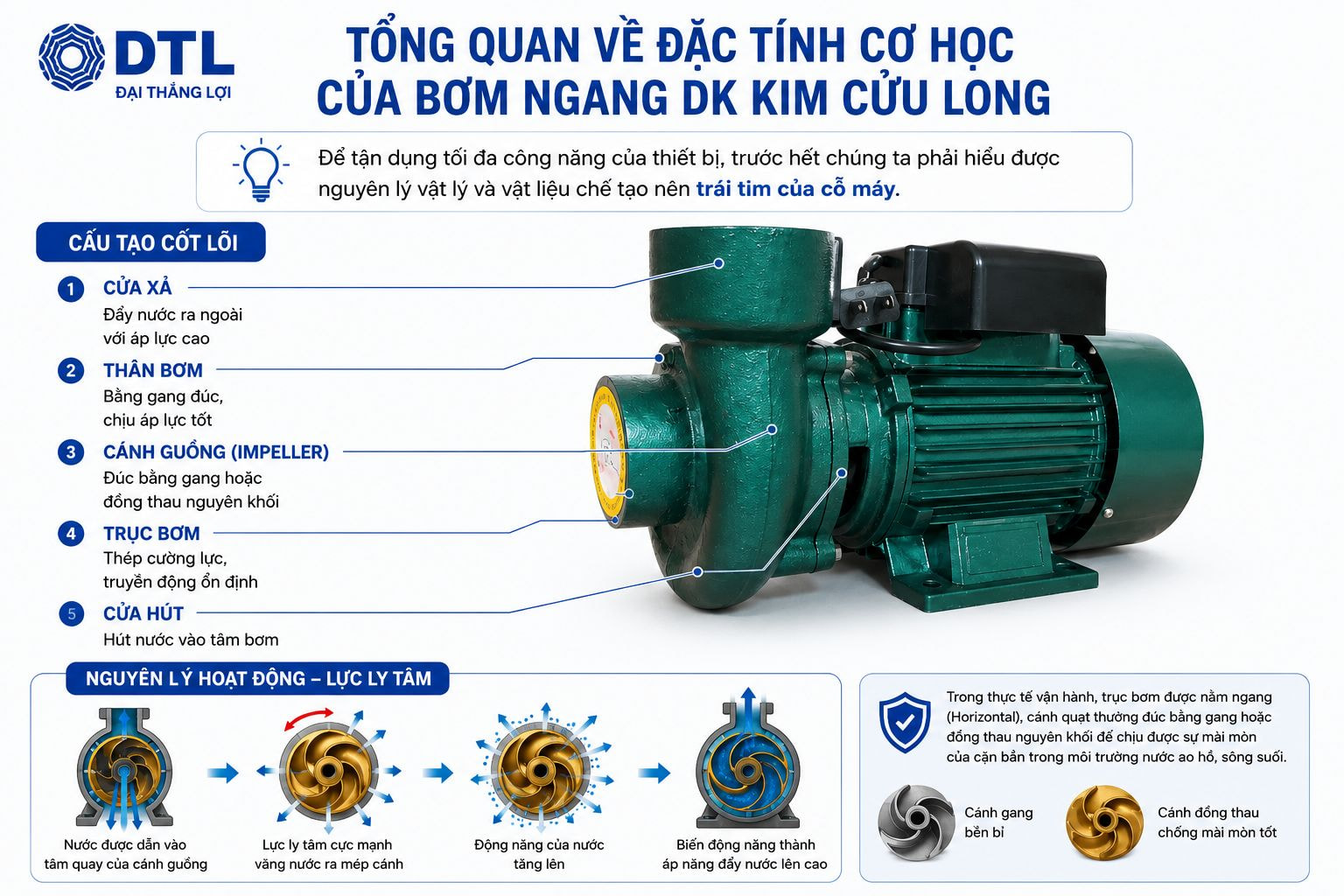 Máy Bơm Ngang DK Kim Cửu Long Chính Hãng Đặt Tại Showroom